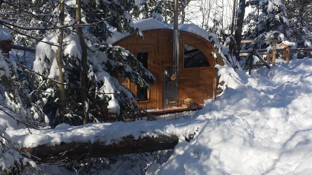 Willa Gusia, Apartamenty Zakopane Esterno foto