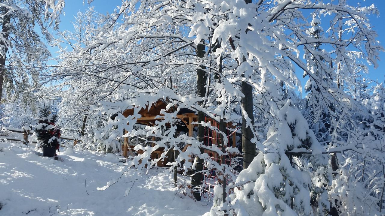 Willa Gusia, Apartamenty Zakopane Esterno foto