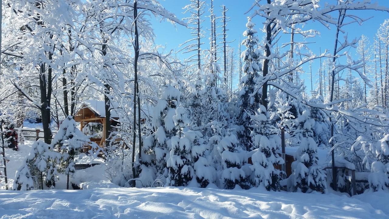Willa Gusia, Apartamenty Zakopane Esterno foto