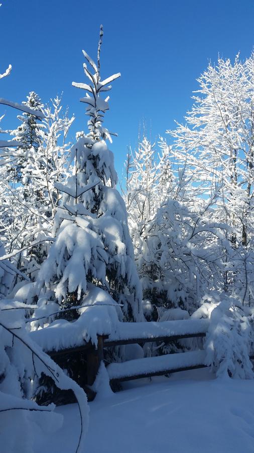 Willa Gusia, Apartamenty Zakopane Esterno foto
