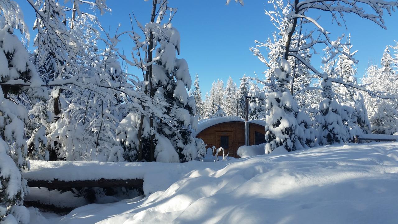 Willa Gusia, Apartamenty Zakopane Esterno foto