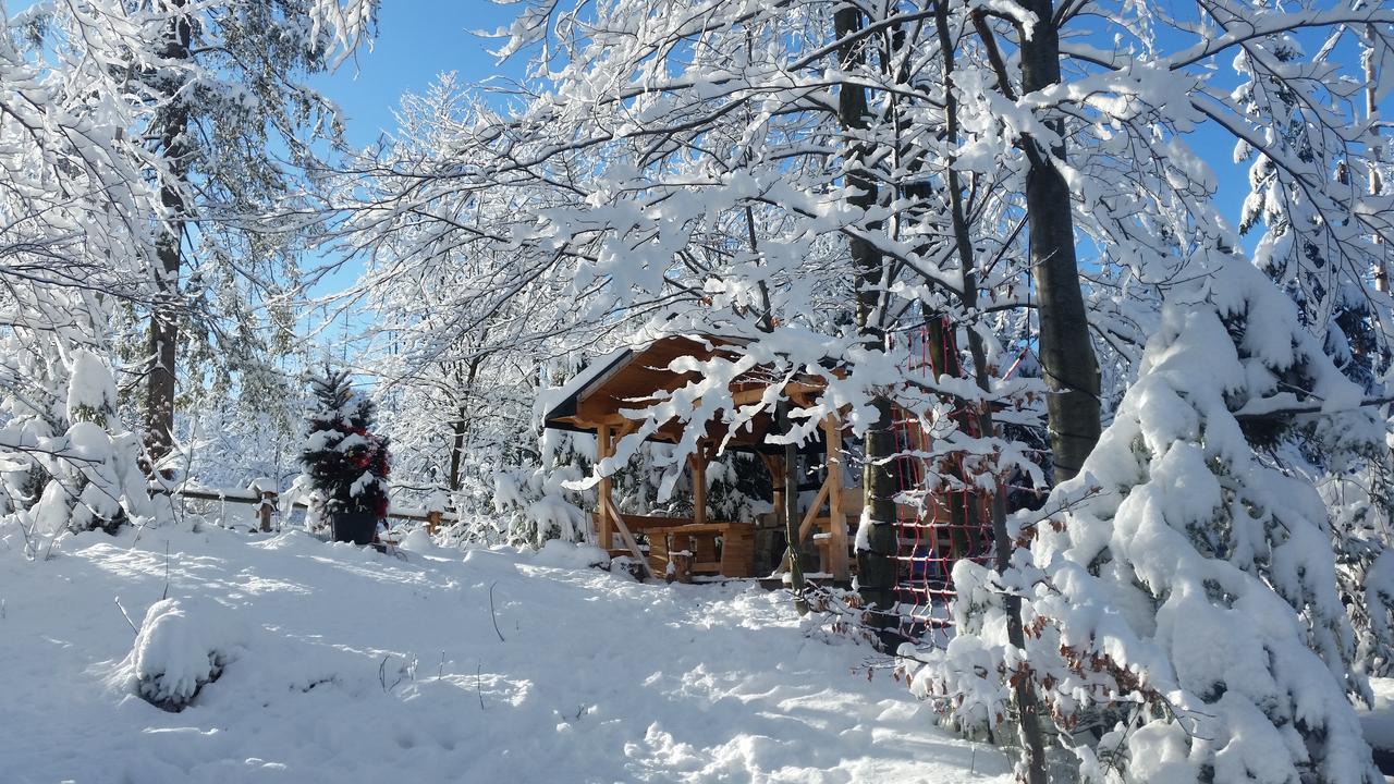 Willa Gusia, Apartamenty Zakopane Esterno foto